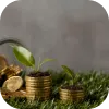 Te contamos qué bancos ofrecen las mejores líneas de crédito sustentable.